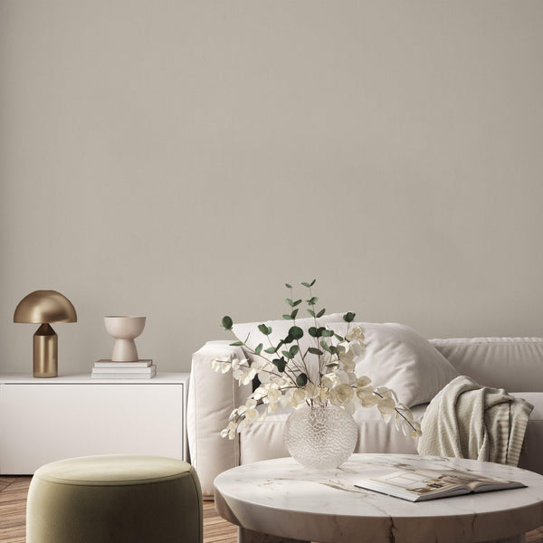 Warm Beige Wallpaper, Matte Gray Wallpaper, Modern & Minimalist Wall Covering,Modern Look Neutral Colors Glittering Wallcovering