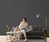Charcoal Gray Wallpaper, Matte Gray Wallpaper, Modern & Minimalist Wall Covering,Modern Look Neutral Colors Glittering Wallcovering