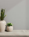 Soft Grey Wallpaper, Textured Wallpaper,Natural Wallpaper, Modern & Minimalist Wall Covering,Modern Look Neutral Colors Glittering Wallcovering