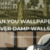 Can You Wallpaper Over Damp Walls?