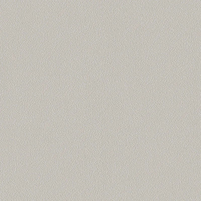 Light Beige Wallpaper, Rich Textured Wallcovering, Traditional, White Light Color, Extra Large 114 sq ft Roll, Washable, Alphabet Wallpaper