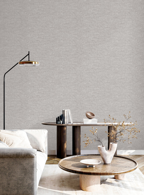 Gray Muse Stucco Texture Wallpaper, Natural Wallpaper, Modern & Minimalist Wall Covering, Modern Look Neutral Colors Glittering Wall Cover