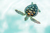 Cute Baby Turtle Wallpaper, Turquoise Water Mural, Oversized Custom Size Wall Art, Non-Woven, Non-Adhesive, Modern Wall Paper, Removable