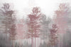 Red and Gray Trees Wallpaper, Foggy Forest Mural, Oversized Custom Size Wall Art, Non-Woven, Non-Adhesive, Modern Wall Paper, Removable