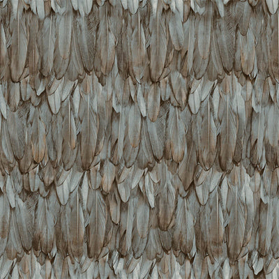 Exotic Feathers Pattern Embossed Wallpaper, Brown Neutral Tropical 3D Textured Birds Wallcovering - Walloro High End Wallcoverings & More