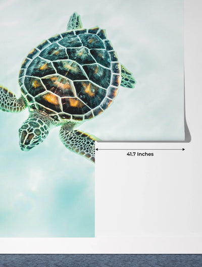Cute Baby Turtle Wallpaper, Turquoise Water Mural, Oversized Custom Size Wall Art, Non-Woven, Non-Adhesive, Modern Wall Paper, Removable