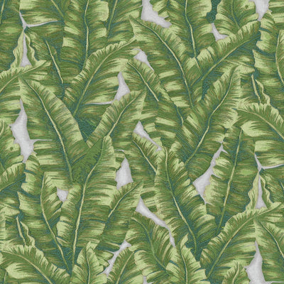 Luxury Leaf Pattern Wallpaper, Green Embossed Botanical Tropical Exotic Wallcovering, Plants Tropical Design - Walloro High End Wallcoverings & More